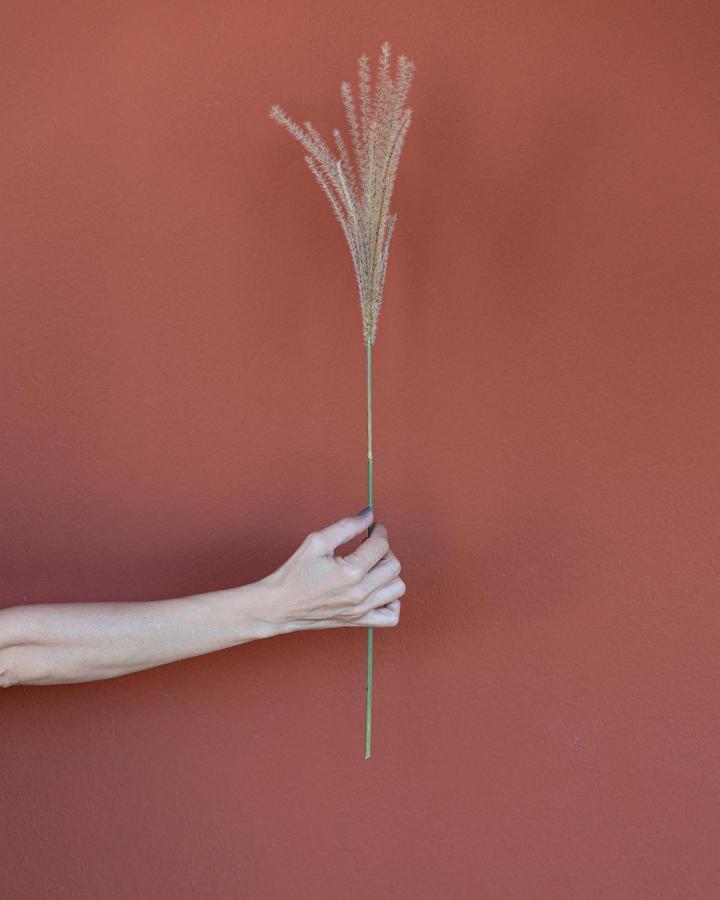 فيلا Santa Lucia Maccarese - Residenza Agricola المظهر الخارجي الصورة